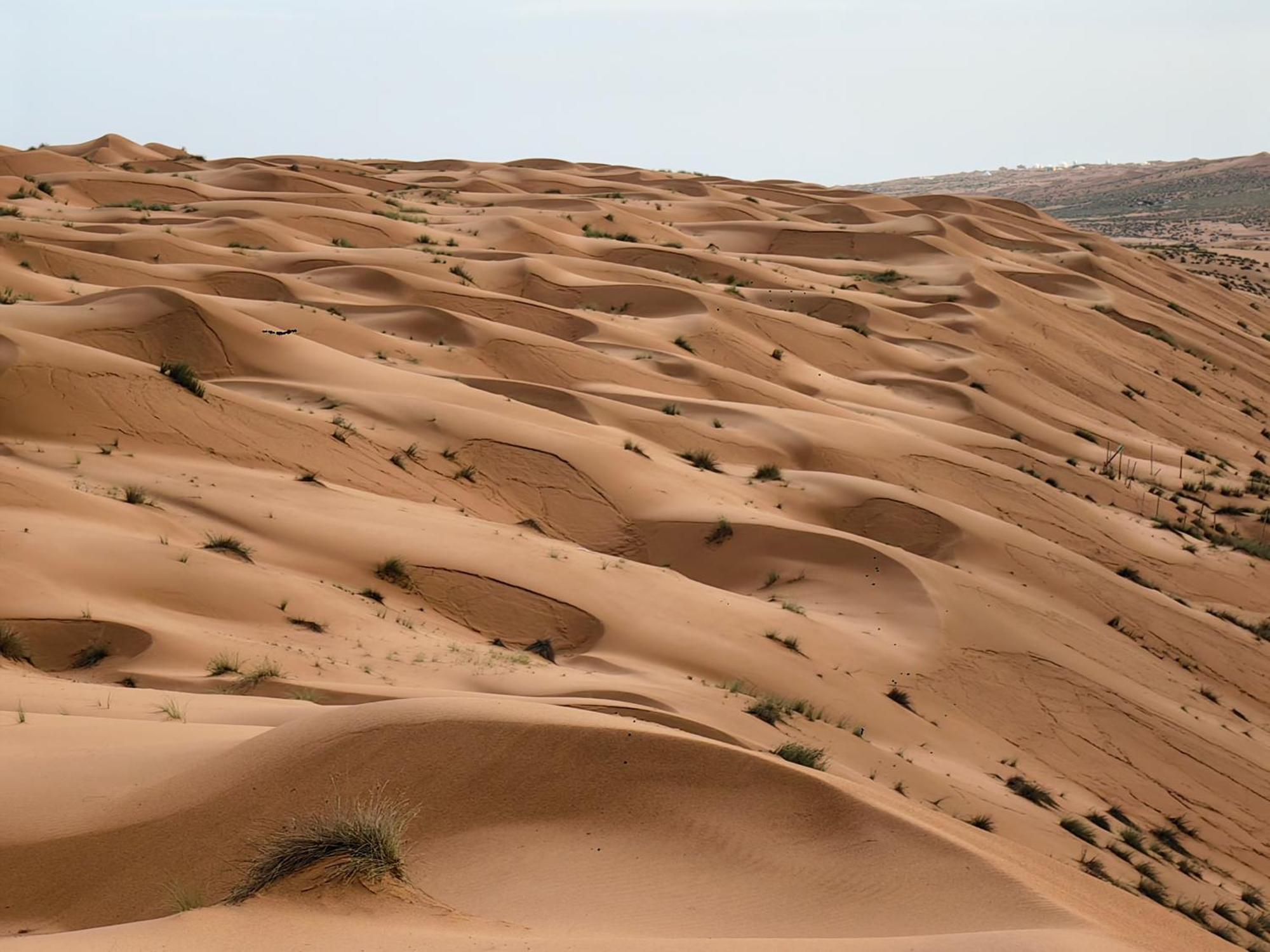 Desert Rose Camp Badīyah المظهر الخارجي الصورة